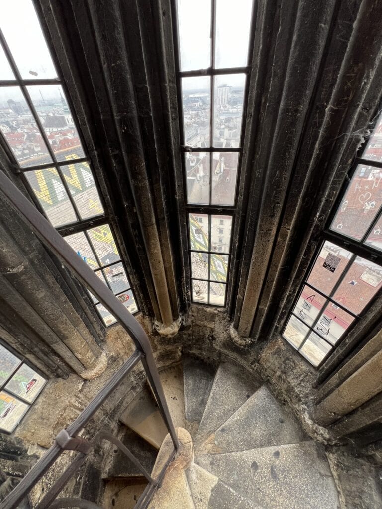 IMG 7260