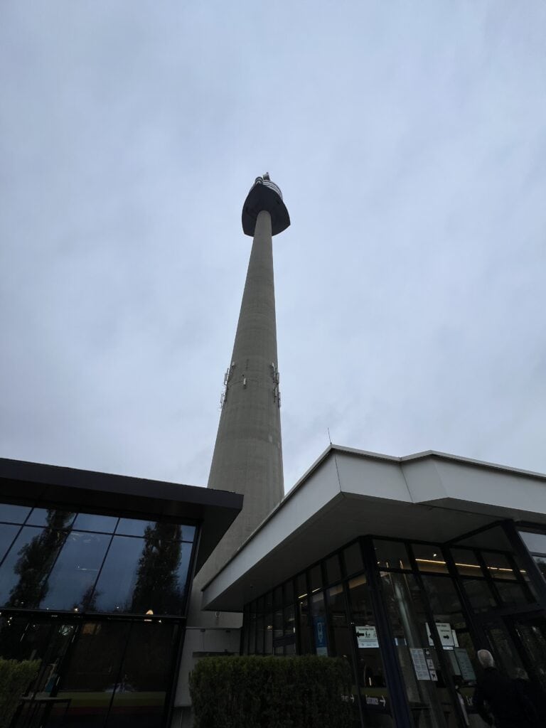 IMG 7284