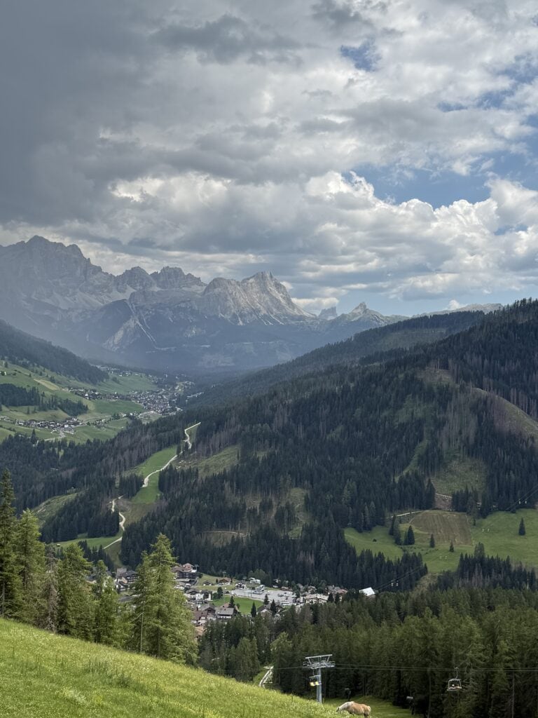 IMG 7286