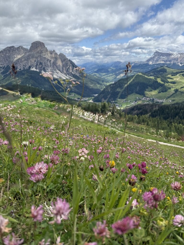 IMG 7999
