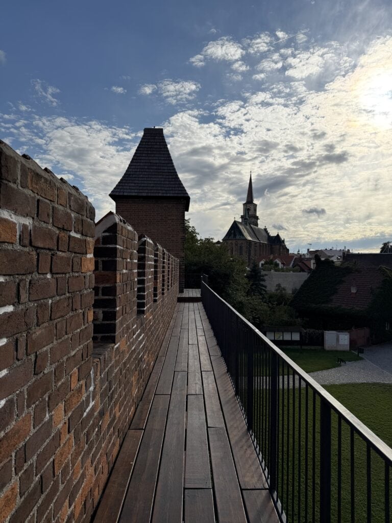 IMG 0413