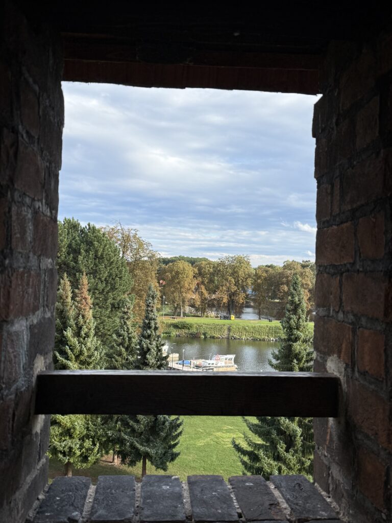 IMG 0416