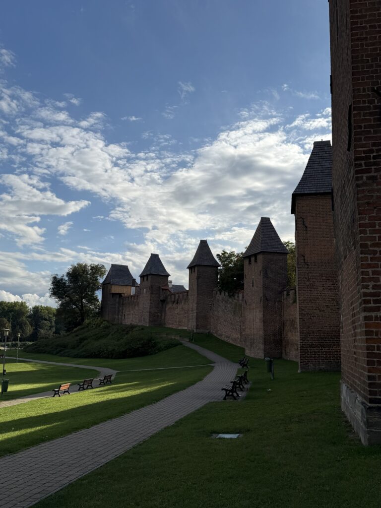 IMG 0420