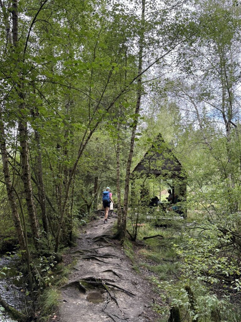 Stezka Českem: 134 km aneb co zvládne padesátka 3 IMG 6681
